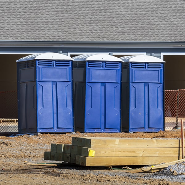 how can i report damages or issues with the porta potties during my rental period in Mount Vernon